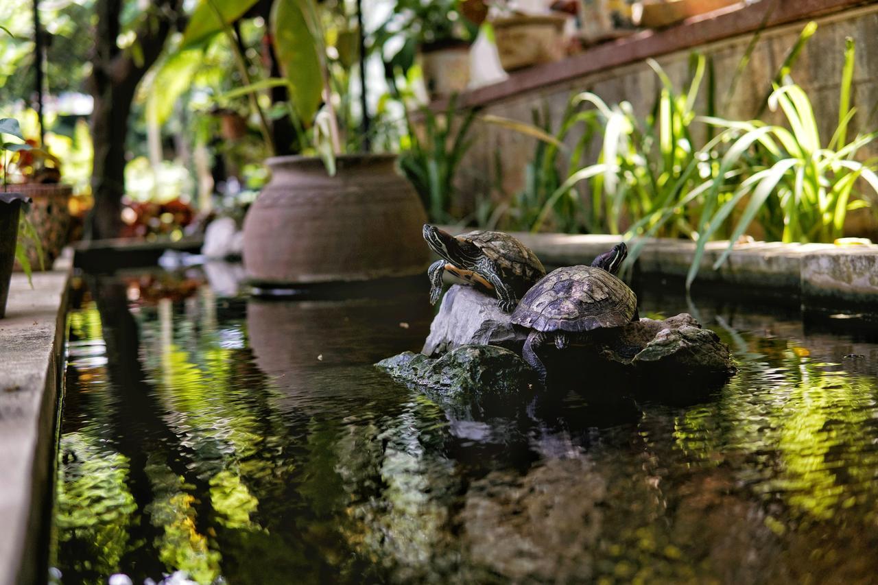 Hotel Lani'S House By The Ponds Vientiane Esterno foto